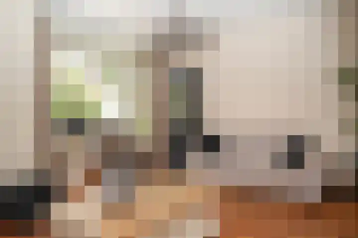 Prunusstraat 6 Opheusden thumbnail 10