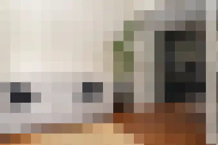 Prunusstraat 6 Opheusden thumbnail 11