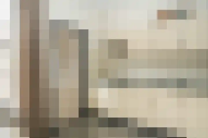 Prunusstraat 6 Opheusden thumbnail 14
