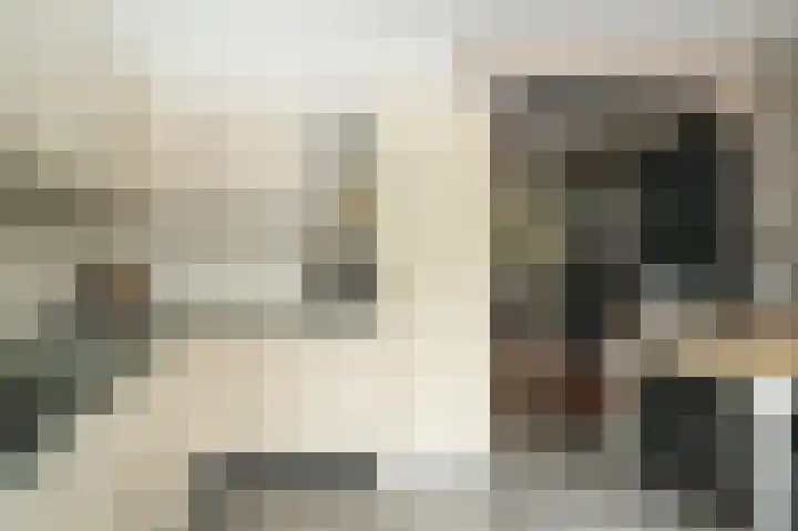 Prunusstraat 6 Opheusden thumbnail 15