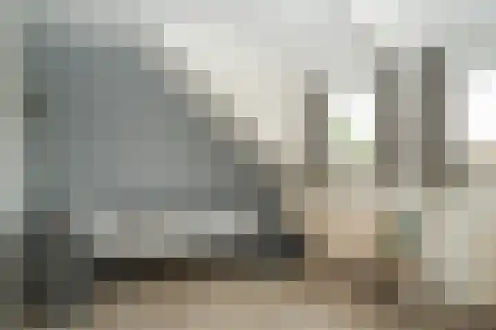 Prunusstraat 6 Opheusden thumbnail 26