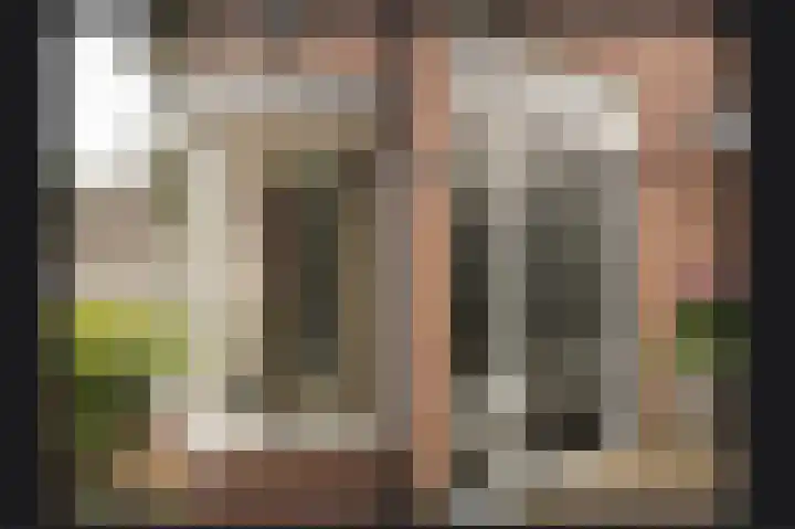 Prunusstraat 6 Opheusden thumbnail 36
