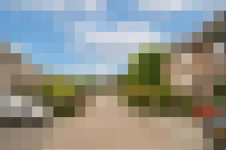 Prunusstraat 6 Opheusden thumbnail 38