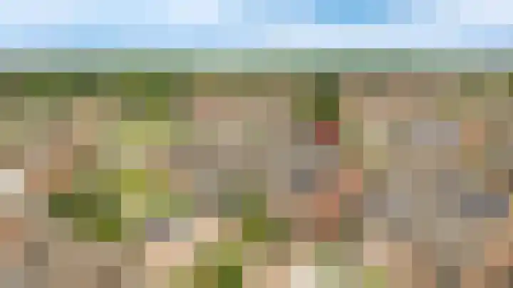 Prunusstraat 6 Opheusden thumbnail 40