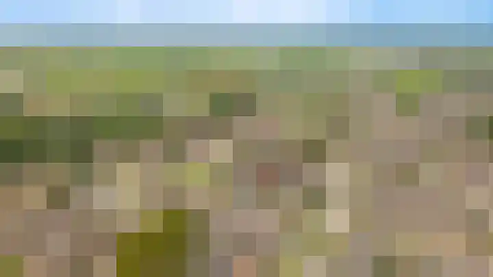 Prunusstraat 6 Opheusden thumbnail 42