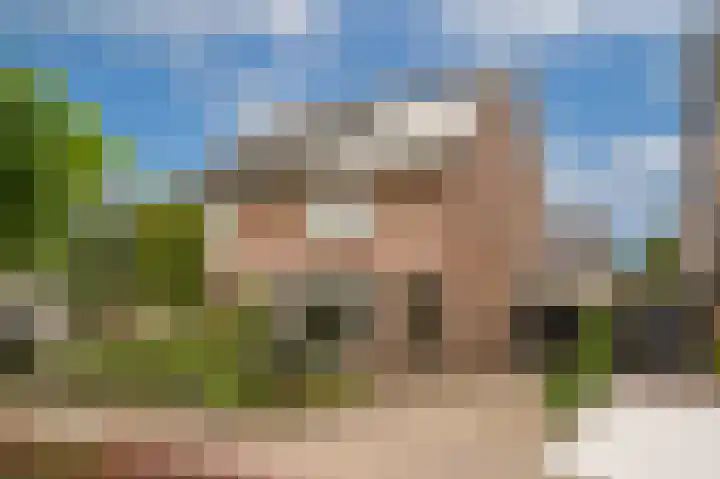 Prunusstraat 6 Opheusden thumbnail 48