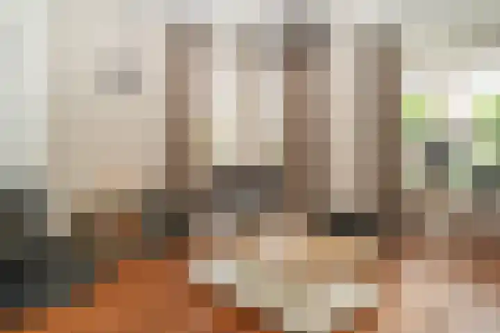 Prunusstraat 6 Opheusden thumbnail 8