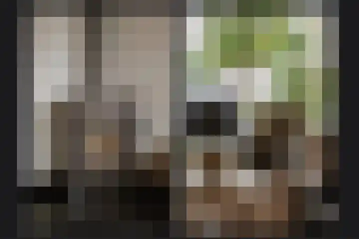 Prunusstraat 6 Opheusden thumbnail 9