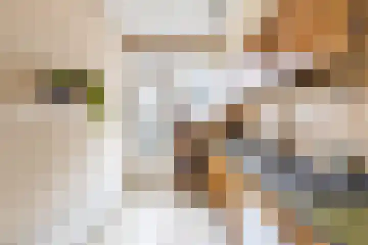 Prunusstraat 65 Groningen thumbnail 16