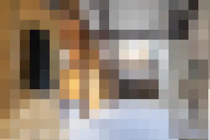 Prunusstraat 65 Groningen thumbnail 29