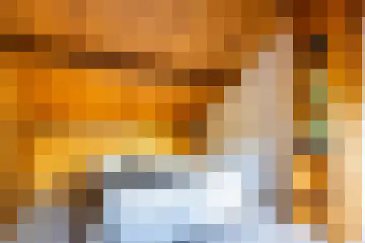 Prunusstraat 65 Groningen thumbnail 31