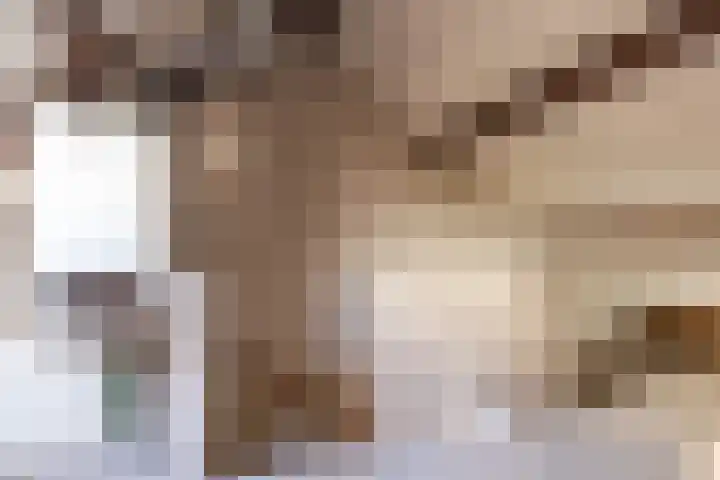 Prunusstraat 65 Groningen thumbnail 32