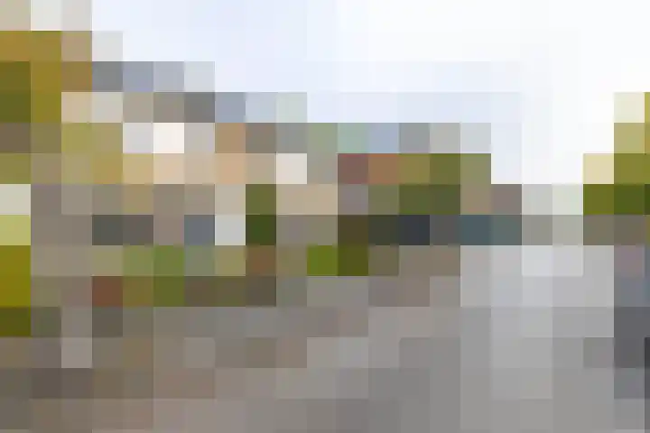 Prunusstraat 65 Groningen thumbnail 37