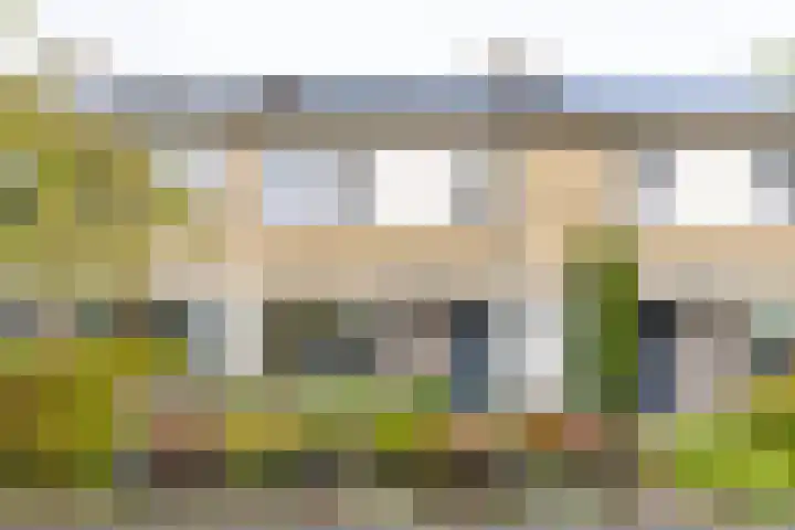 Prunusstraat 65 Groningen thumbnail 4