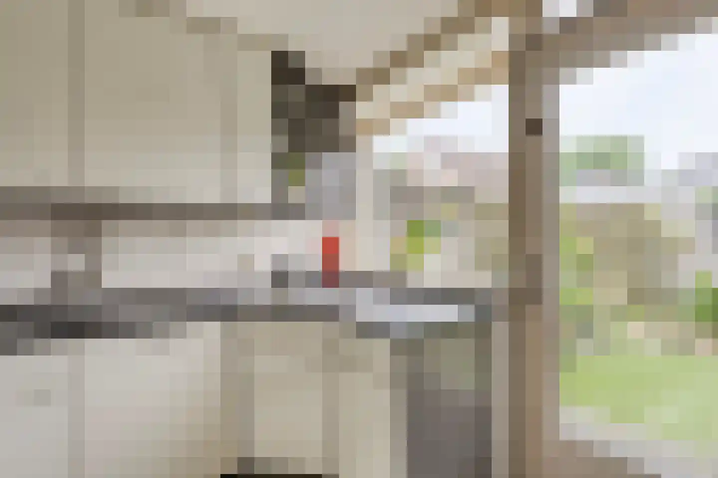 Prunusstraat 7 Oisterwijk thumbnail 14