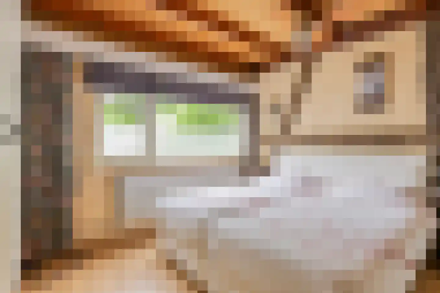 Prunusstraat 7 Oisterwijk thumbnail 21