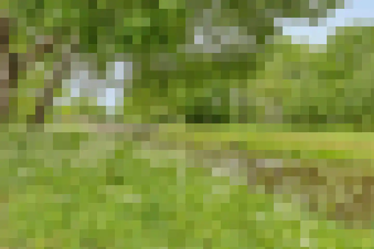 Prunusstraat 7 Oisterwijk thumbnail 36
