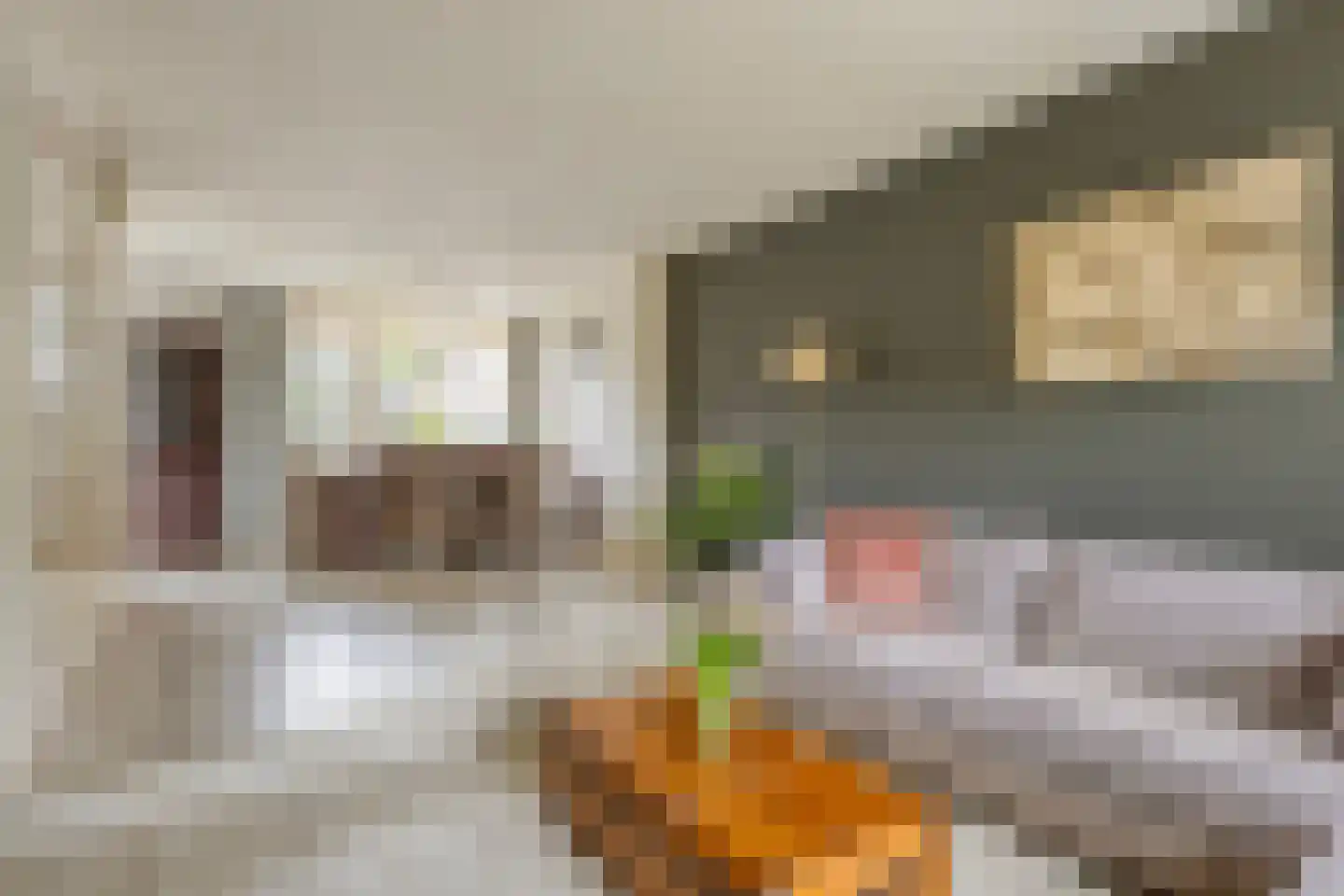 Prunusstraat 7 Oisterwijk thumbnail 6