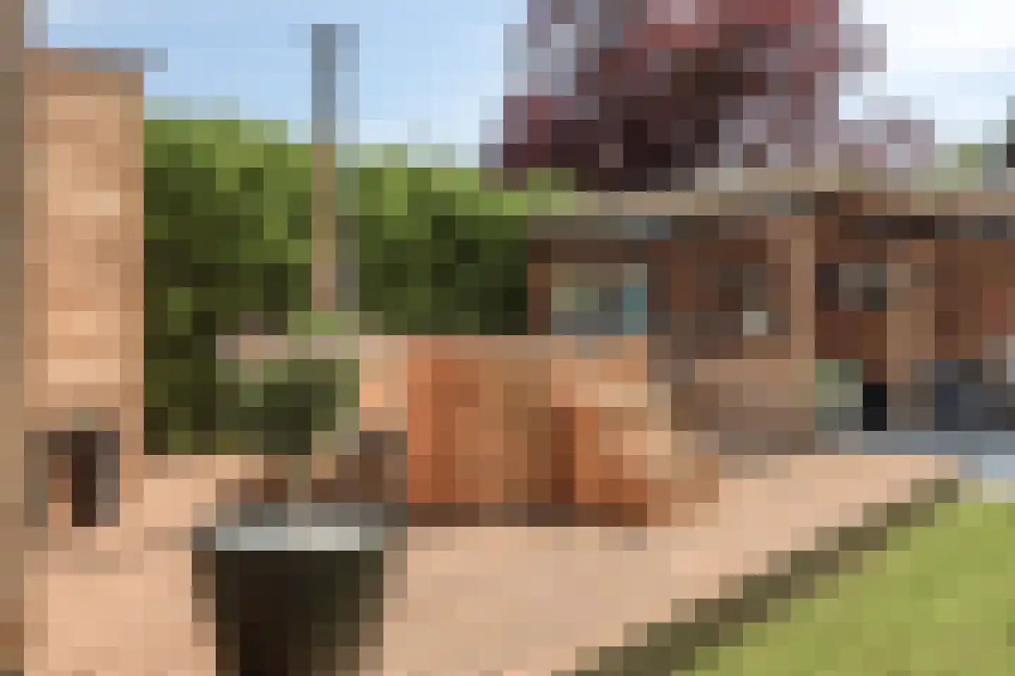 Prunusstraat 71 's-Gravenpolder thumbnail 42