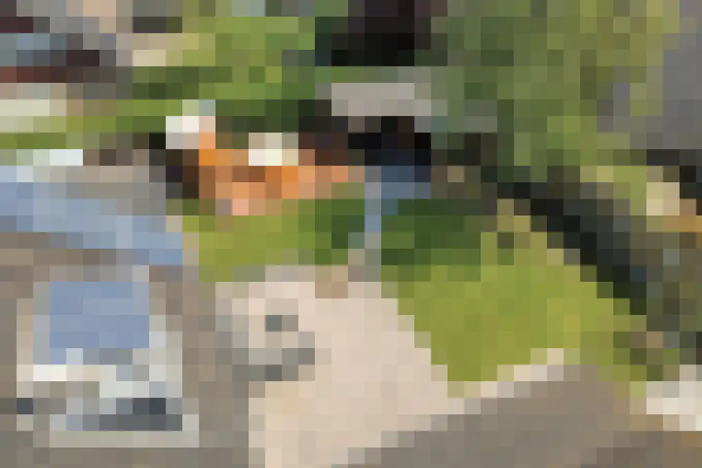 Prunusstraat 71 's-Gravenpolder thumbnail 46