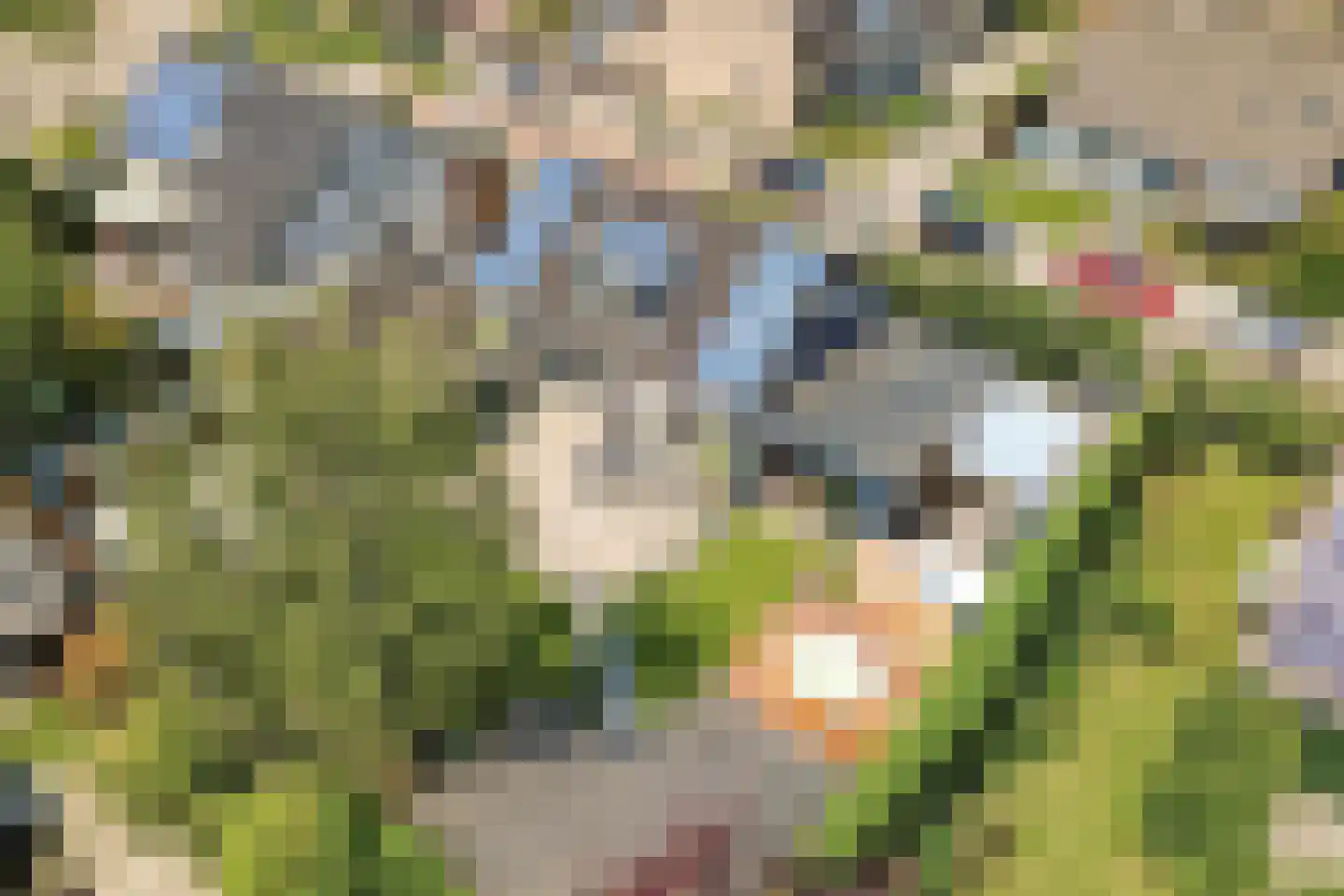 Prunusstraat 71 's-Gravenpolder thumbnail 48