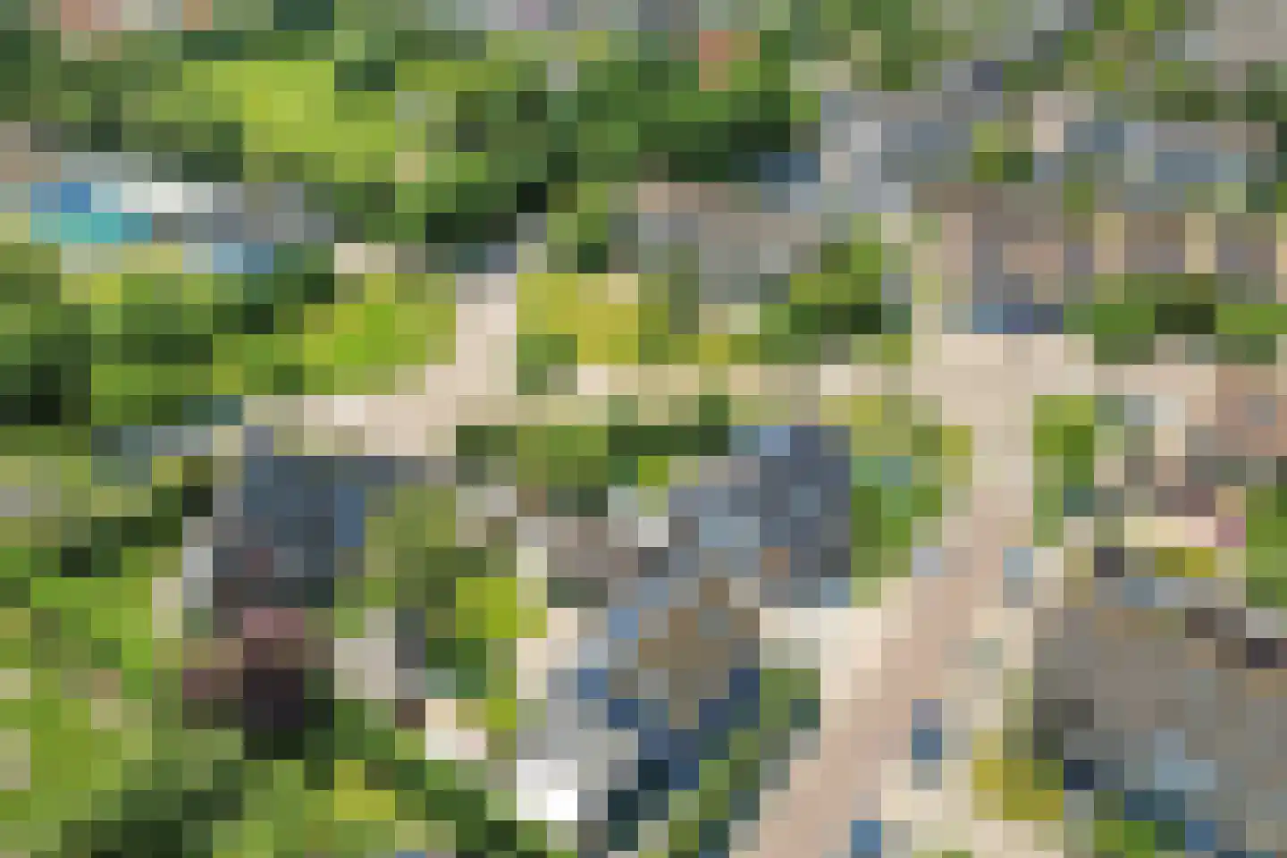 Prunusstraat 71 's-Gravenpolder thumbnail 51