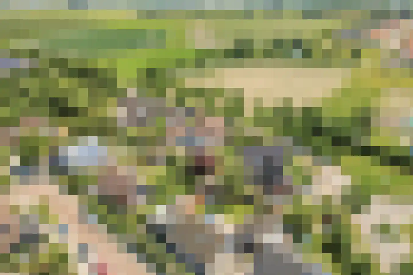 Prunusstraat 71 's-Gravenpolder thumbnail 52