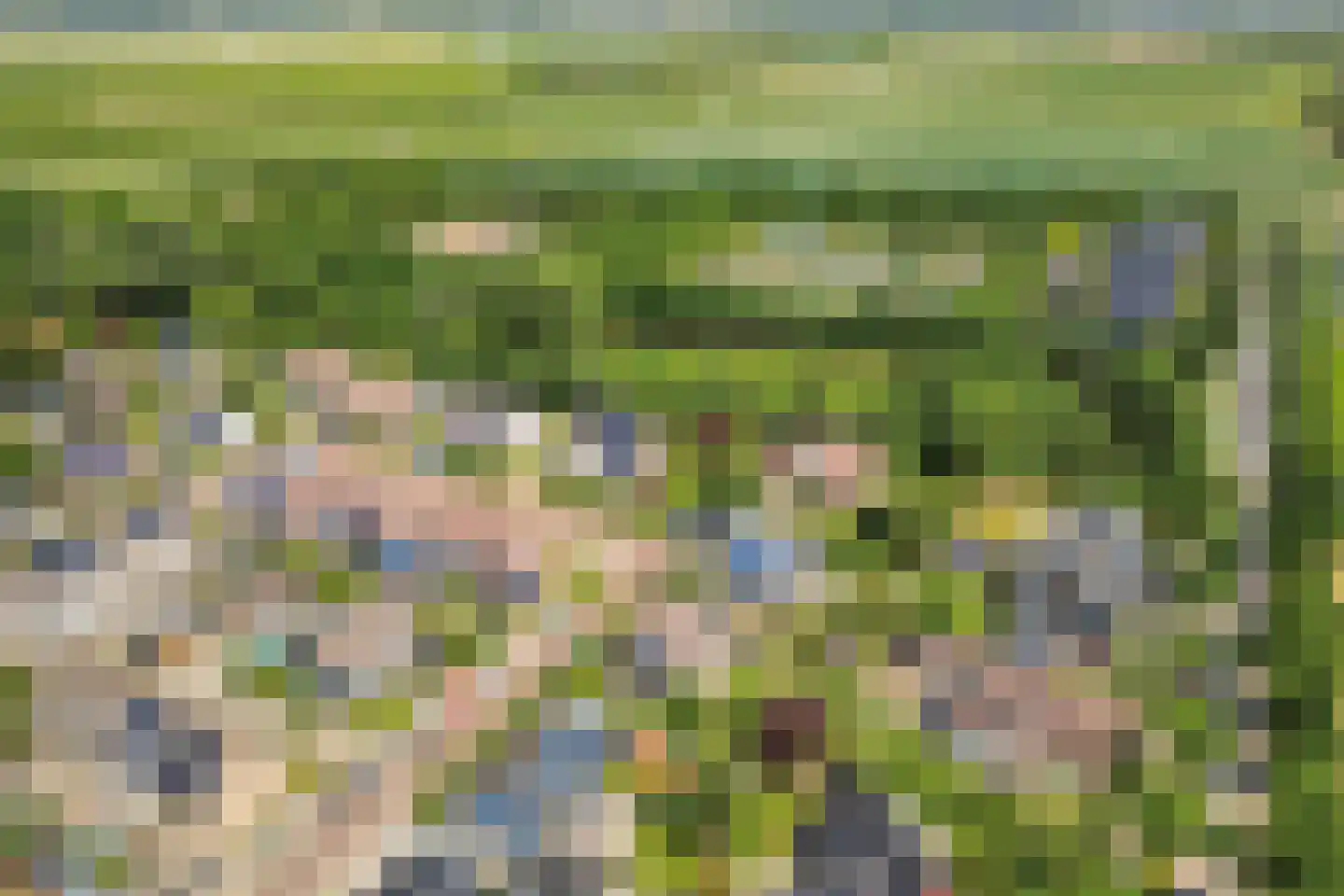 Prunusstraat 71 's-Gravenpolder thumbnail 53