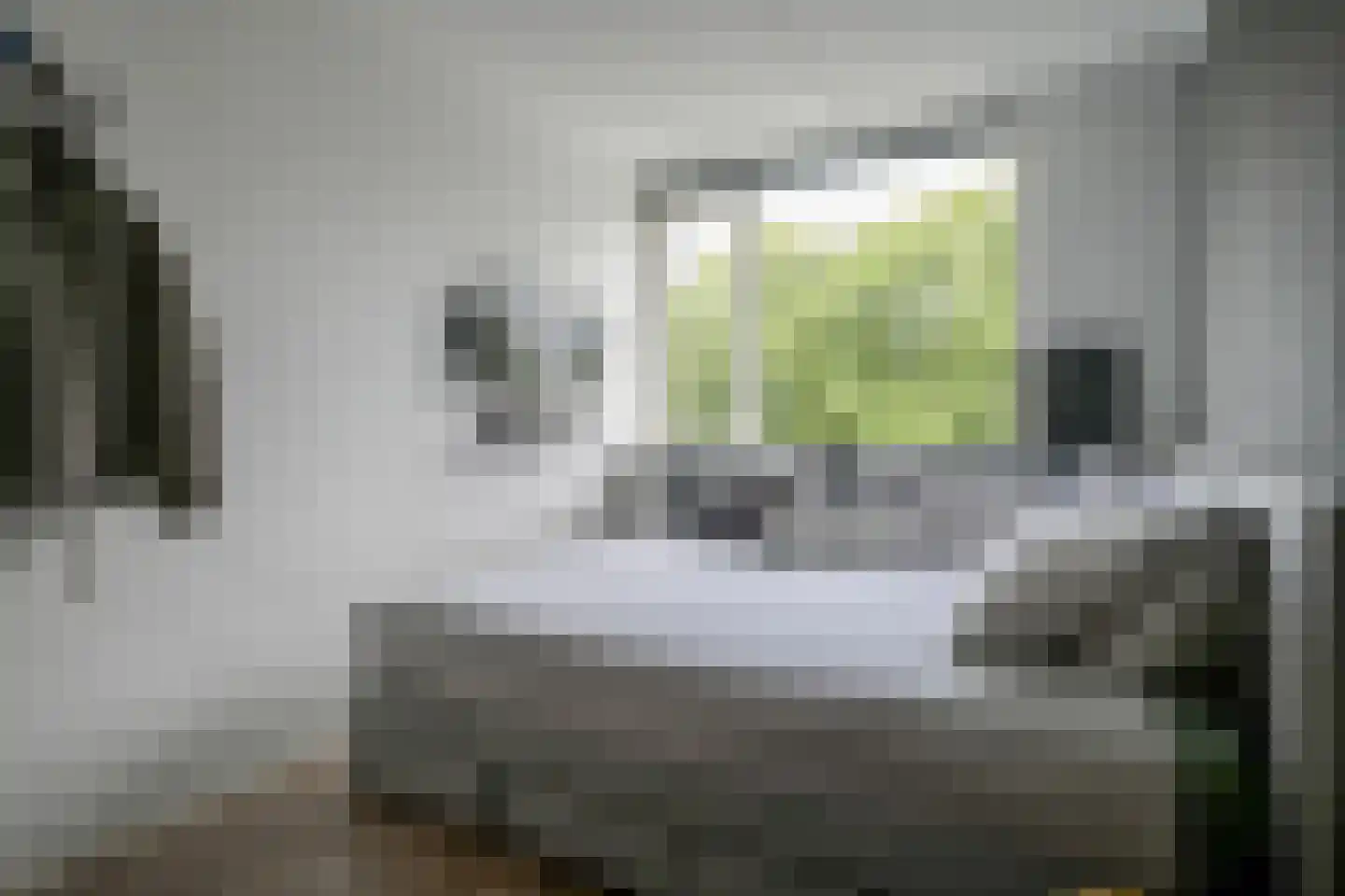 Prunusweg 9 Berkel en Rodenrijs thumbnail 33