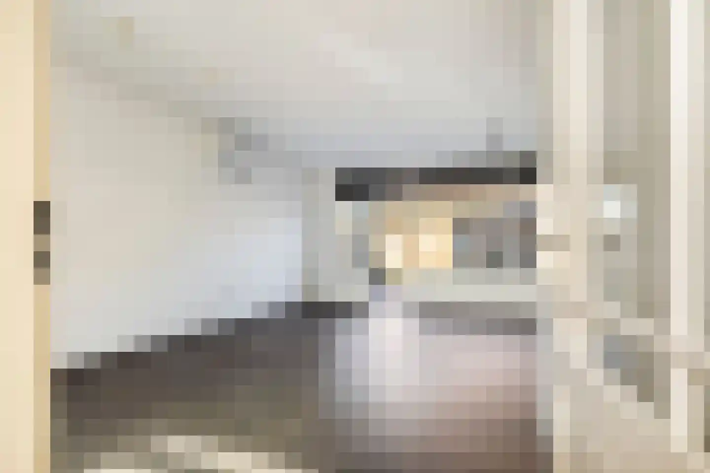 Pruylenborg 1 Hendrik-Ido-Ambacht thumbnail 5
