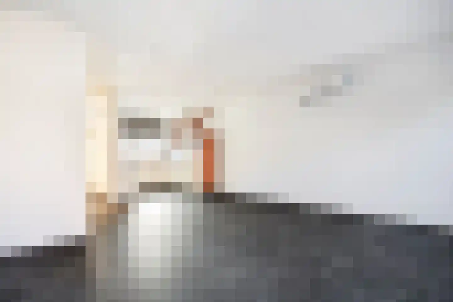 Pruylenborg 1 Hendrik-Ido-Ambacht thumbnail 7