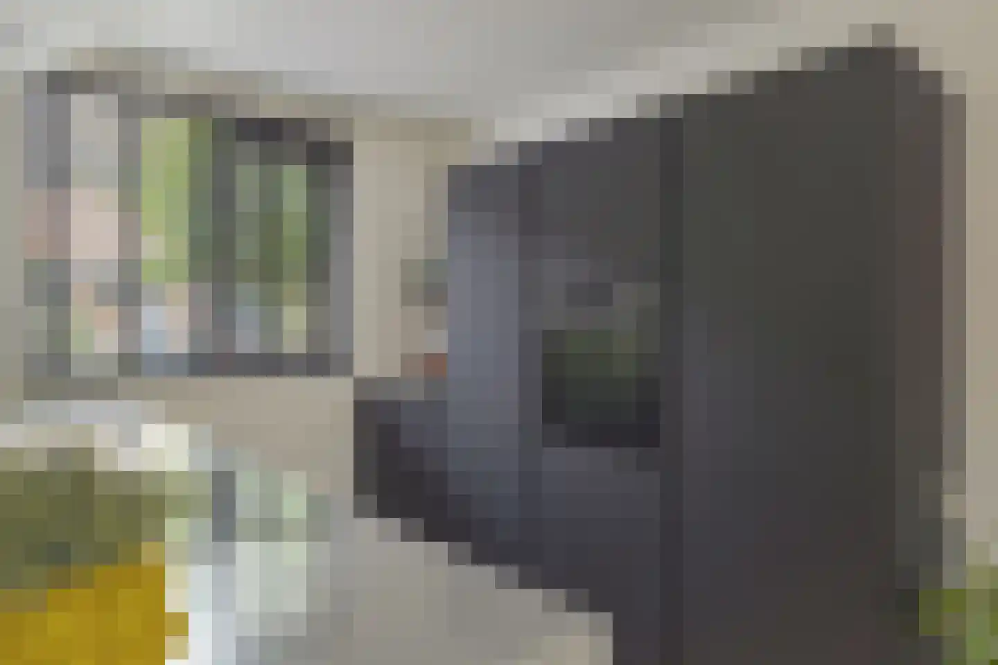 Pruylenborg 10 Hendrik-Ido-Ambacht thumbnail 13