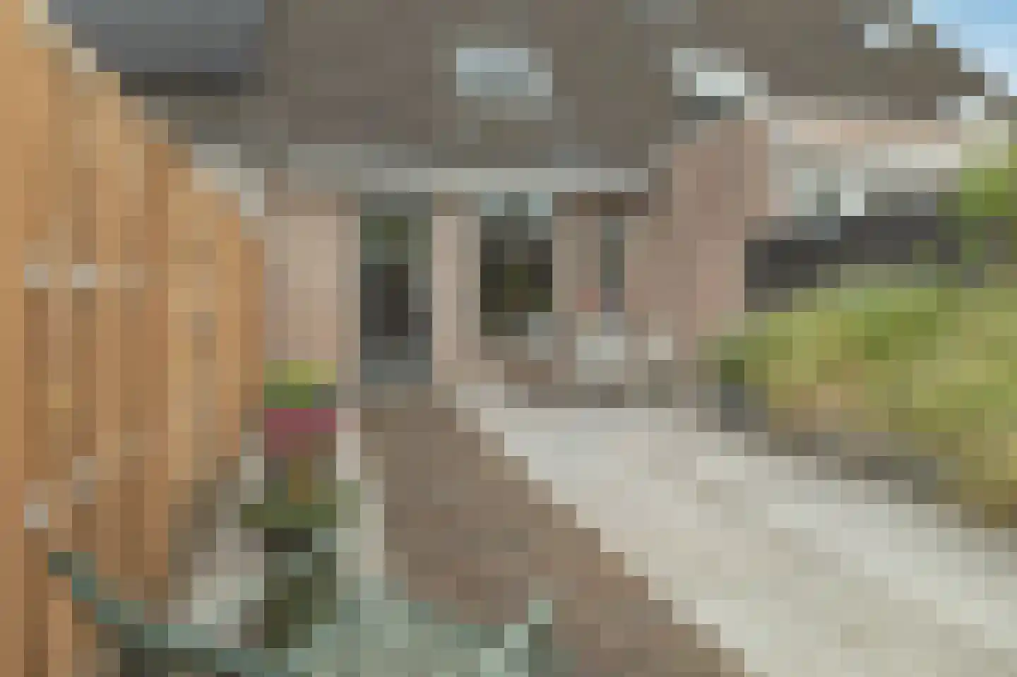 Pruylenborg 10 Hendrik-Ido-Ambacht thumbnail 25