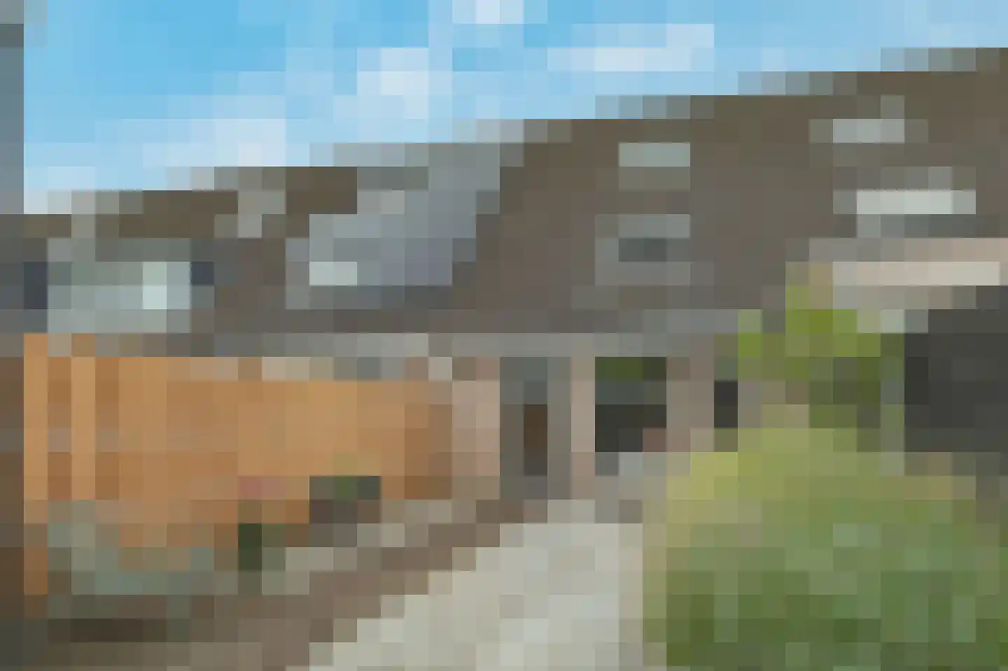 Pruylenborg 10 Hendrik-Ido-Ambacht thumbnail 26