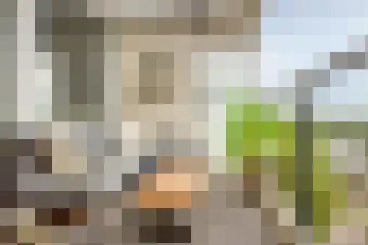 Pruylenborg 125 Zwijndrecht thumbnail 15