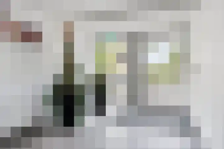 Pruylenborg 125 Zwijndrecht thumbnail 9