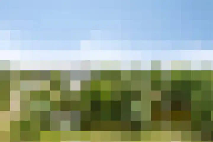 Pruylenborg 134 Zwijndrecht thumbnail 6