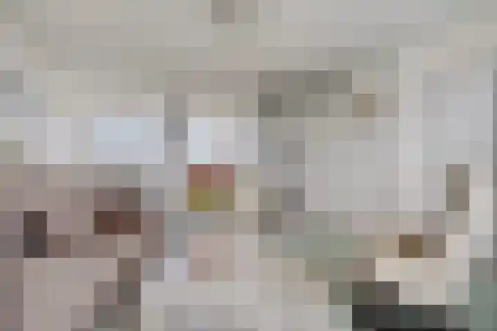 Pruylenborg 134 Zwijndrecht thumbnail 8