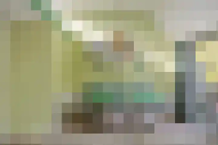 Pruylenborg 137 Hendrik-Ido-Ambacht thumbnail 4