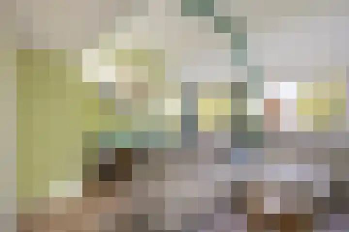 Pruylenborg 137 Hendrik-Ido-Ambacht thumbnail 5