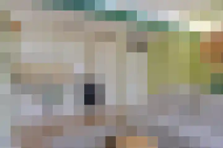 Pruylenborg 137 Hendrik-Ido-Ambacht thumbnail 6