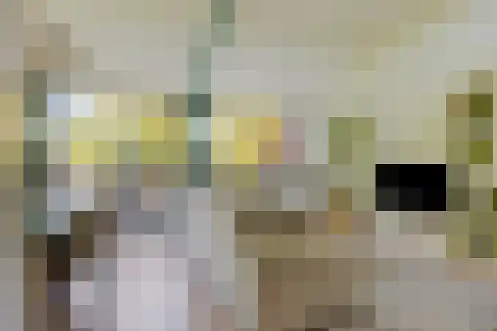 Pruylenborg 137 Hendrik-Ido-Ambacht thumbnail 7
