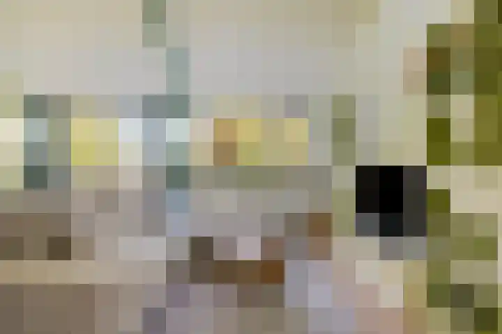 Pruylenborg 137 Hendrik-Ido-Ambacht thumbnail 9