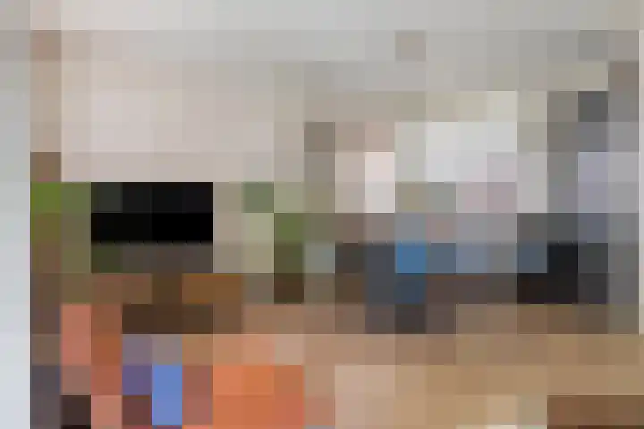 Pruylenborg 141 Hendrik-Ido-Ambacht thumbnail 12