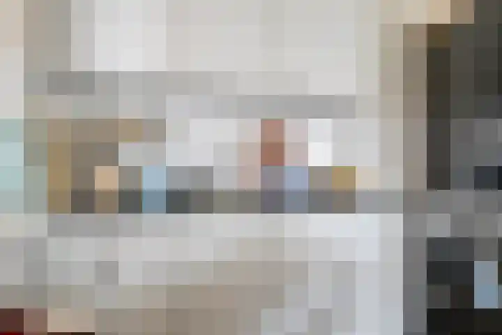 Pruylenborg 141 Hendrik-Ido-Ambacht thumbnail 15