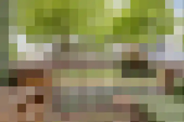 Pruylenborg 141 Hendrik-Ido-Ambacht thumbnail 19