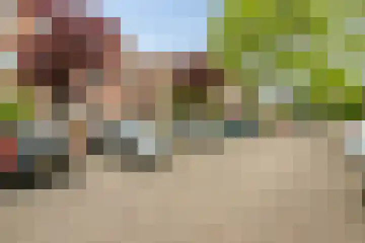 Pruylenborg 141 Hendrik-Ido-Ambacht thumbnail 32