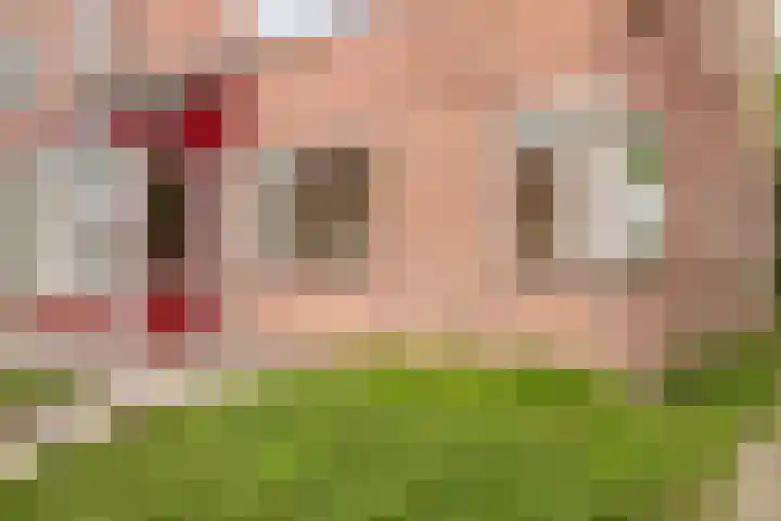 Pruylenborg 141 Hendrik-Ido-Ambacht thumbnail 5