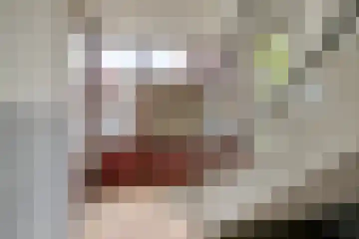 Pruylenborg 141 Hendrik-Ido-Ambacht thumbnail 6