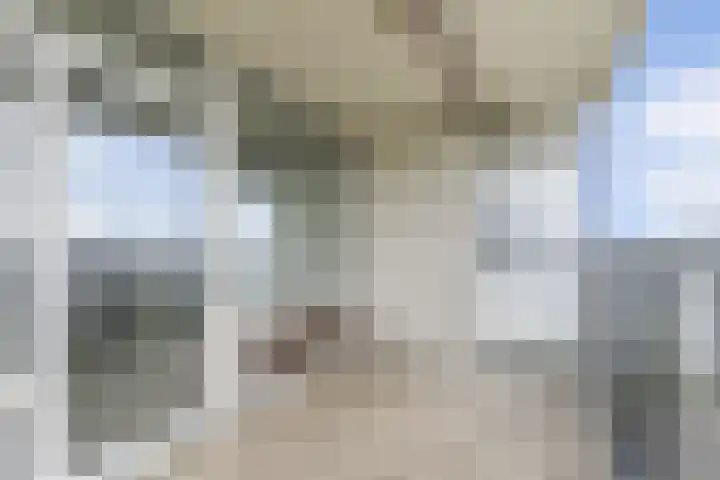 Pruylenborg 142 Zwijndrecht thumbnail 18